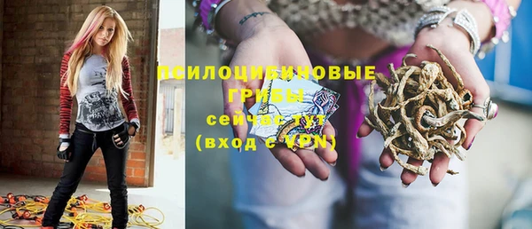 мет Кинешма
