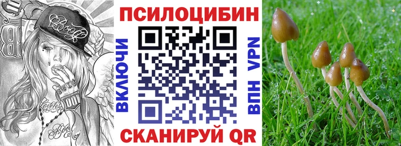 цены   Мещовск  ссылка на мегу онион  darknet наркотические препараты  Псилоцибиновые грибы Psilocybe 